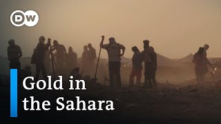 Gold rush in Mauritania | DW Documentary