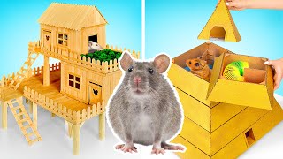 Fun Crafts For Your Pet Rat And Hamster || DIY House And Maze