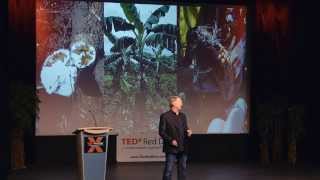 Pushing Boundaries in Agriculture | Rob Saik | TEDxRedDeer