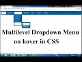 CSS Tutorial On Multilevel Dropdown Menu - A Complete Guide