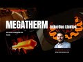 Megatherm Induction Ltd - H1Fy25 Post Earnings Conference Call