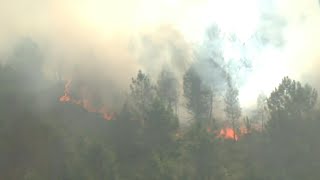 'Apocalyptic' Gironde fires rage, burning 1,000 hectares in Landiras | AFP
