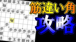 【10分】一歩損も怖くない！“筋違い角戦法”を攻略してみる！！！