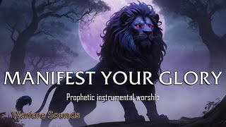 Immerse in Worship | Prophetic Warfare Instrumentals for Meditation