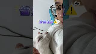 看到有洞就想鑽🤣 #萌寵 #貓咪 #白底虎斑 #叫叫 #可愛 #有趣 #cute