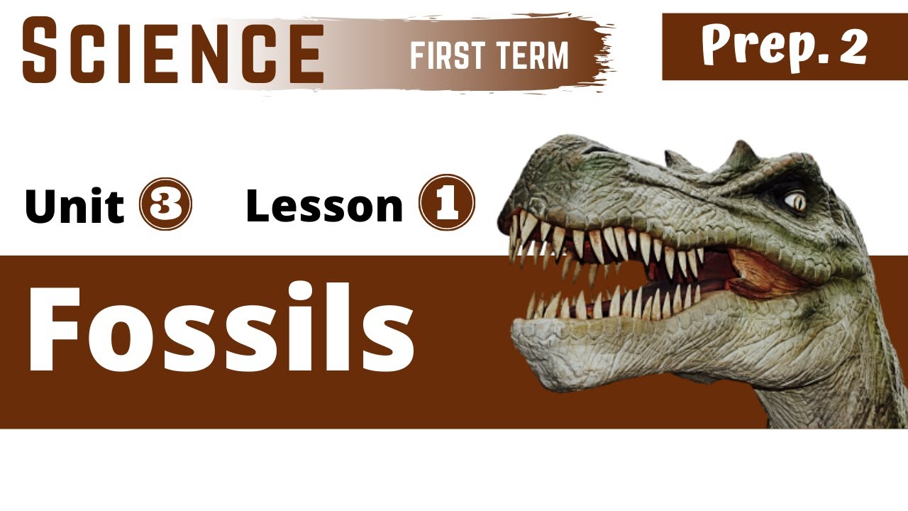 Science | Prep.2 | Fossils | Unit (3) | Lesson (1) - YouTube