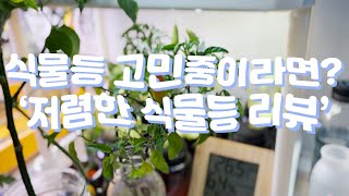 아직 식물등 고민중이라면? 가성비 좋은 저렴한 식물등 리뷰