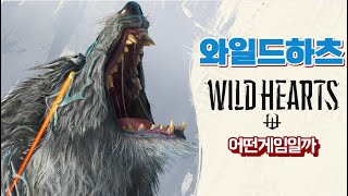 와일드하츠 정식발매전 먼저 플레이해보기! ps5 wildhearts