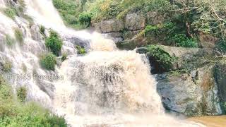 Uyilatti falls | Nilgiris | Adventure | Tamil