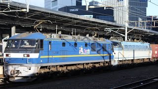 EF210-337ムドEF66-118 名古屋駅通過