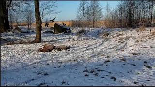 Talvekaamera 2023-01-21 White tailed Eagle