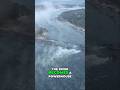 Exploring the Mighty Zambezi River: Nature’s Power