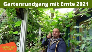 Gartenrundgang August 21 mit Ernte | Minikiwi | Indianerbanane | Storchschnabel Rozanne