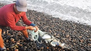 A single cast net in the rough sea was enough for this man to catch so many fish