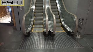 六本木ヒルズ エスカレーター ヒルズウエストウォーク 3F-4F Roppongi hills Escalator westwalk