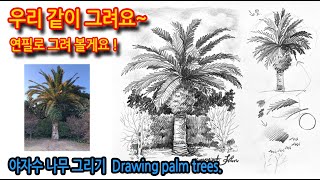 티노씨드로잉 [10강]야자나무 그리기 Drawing palm trees.#연필풍경화#나무그리기