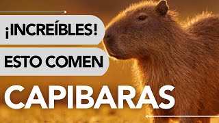 🔔 Dónde VIVEN los CAPIBARAS y QUÉ COMEN 🌱