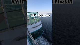 Wifi กลางทะเล #นักดนตรีคนไทยบนเรือสําราญ #เรือสําราญ  #ทะเลลึก #มหาสมุทร #ล่องเรือสำราญ