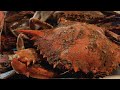 Maryland Style Steamed Blue Crabs