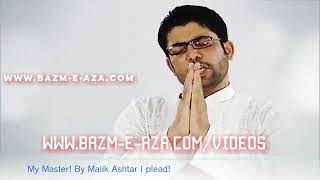 Bahlol Ki Mahruf Ki Qasam Hai Mir Hassan Mir Shia Whatsapp Status Video