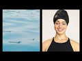 Soul Cap Swim Cap | SwimOutlet.com