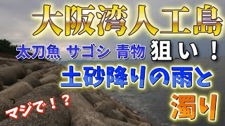 【大阪湾 青物釣り】土砂降りの中、青物と太刀魚とサゴシ調査！海の濁りの釣果結果は！？ の巻