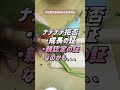 【1分解説】もしかして嫌われてるの？【インコちゃんが撫でさせてくれなくて悩んでいませんか？】