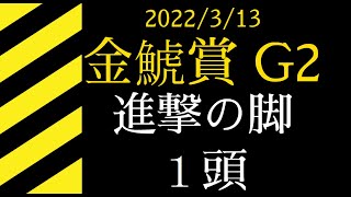 2022 金鯱賞G2  中京2000m　押し馬1頭