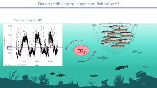 Effects of environmental parameters on early life of commercial fishes, implications for aquaculture