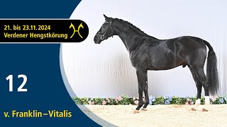 No. 12 Stallion by Franklin - Vitalis | Verden Stallion Licensing 2024 - Dressage - Nov. 22/23