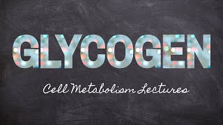 Making \u0026 Breaking Glycogen | Part 11 Metabolism Foundations | Nourishable Macronutrients Lecture 27