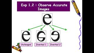 Experiment 1: Basic Techniques In Microscopy (SES)