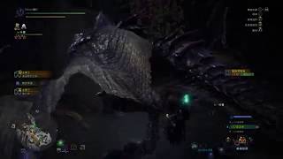 Monster Hunter World: Iceborne狩獵小金戰痕黑狼鳥(活動任務:暴虐與不合理乃傷痕之母有機率出現大小金)