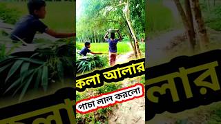 ভুত কলা আলার পাচা লাল করলো #shortfeed #funny #comedy #shortvideo #tending #channelpages