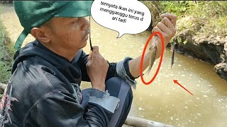 ikan yang mengganggu? tapi lumayan sambaran nya @AMING.FHISHING