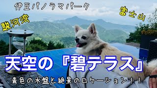 【ペットとお出かけ】行かないと後悔する！山の上のリゾート！？『碧が映える』絶景