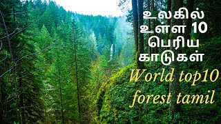 உலகில் உள்ள 10பெரிய காடுகள் -world top 10 forest tamil