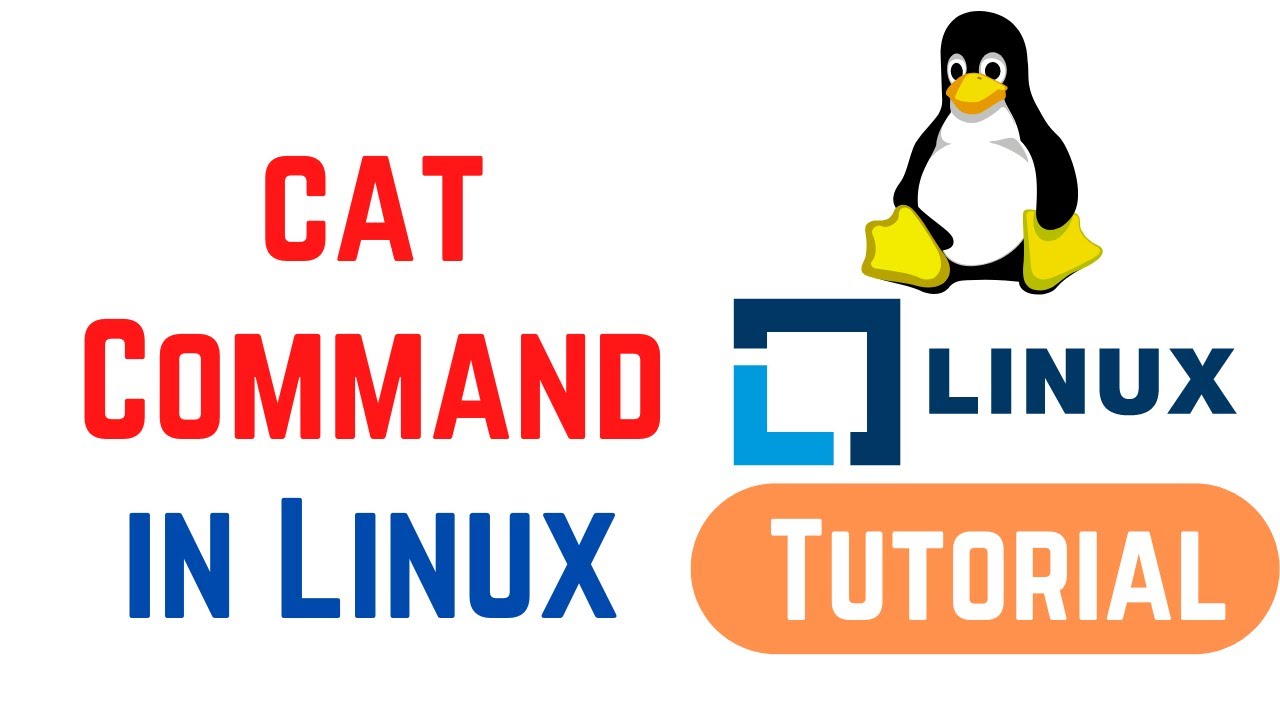 Linux Command Line Basics Tutorials - Cat Command In Linux - YouTube