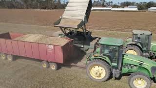 Peanut Harvesting 2024 - Appling County, GA - Baxley