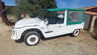 Citroen Mehari Beach Version by Drivin' Ivan