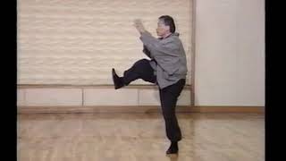 Chen Tai Chi Chuan Linking Form