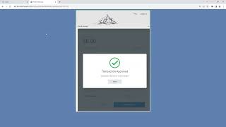 Patient Payments with HST - An In-Depth Walkthrough