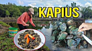 Adobong Kapius #fypシ #simplelife #seafood