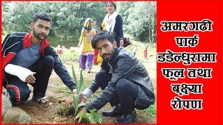 Fower Planning Report In Amargadhi Park, Dadeldhura || 2076-04-11 Saturday