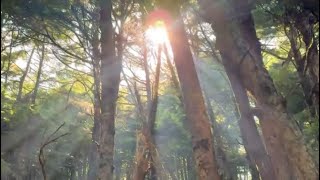 The Exquisite Beauty of Mt Tateshina, Nagano, Japan