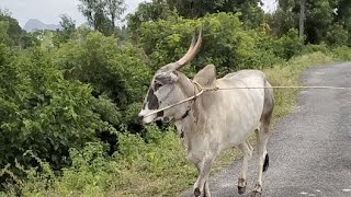 காத்தாடி குப்பம் சூப்பர் ஸ்டார் குரூப்