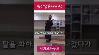 67. 進退步攔擦衣 진퇴보란찰의 Chen style Hong Taichi Yi Lu 1st routine #진식실용태극권  #홍파태극권 #martialarts