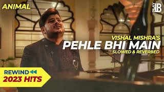Pehle Bhi Main - Slowed & Reverbed | Vishal Mishra | ANIMAL | Tripti Dimri, Ranbir Kapoor