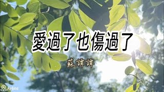 bE 愛過了也傷過了 蘇譚譚  伴奏 01