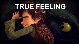True Feeling | Parts 9 & 11 | HTTYD